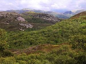 Balmacara-hills-looking-east