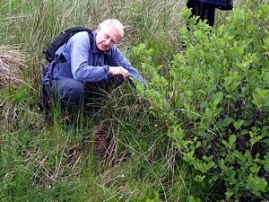 Water vole survey