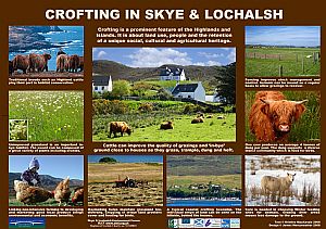 Crofting