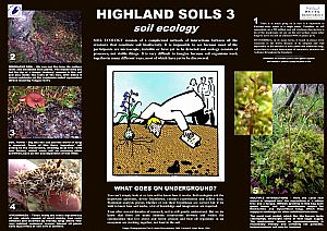Highland Soils 3