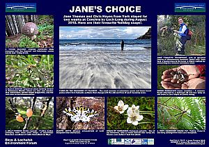 Jane's Choice - You, too, can have a SLEF poster (see below image)